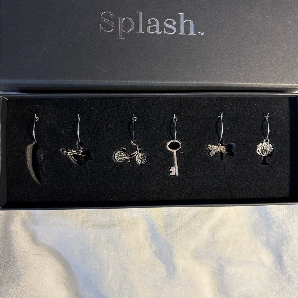 Splash Elegant Silver Charm Collection